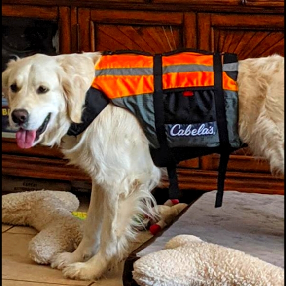 Cabelas Advanced Dog Life Vest Reddish 